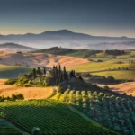 Tuscany vineyards