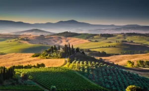 Tuscany vineyards